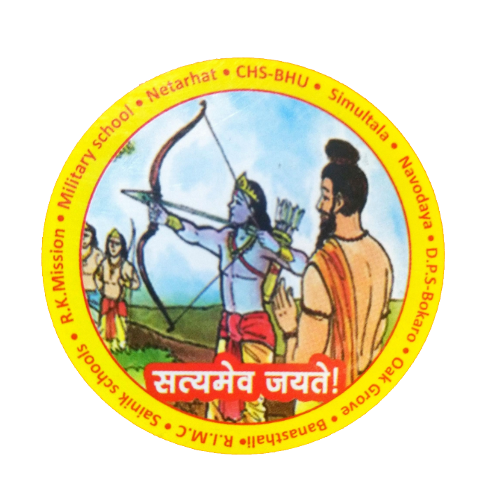 GD Goenka Hazaribagh logo
